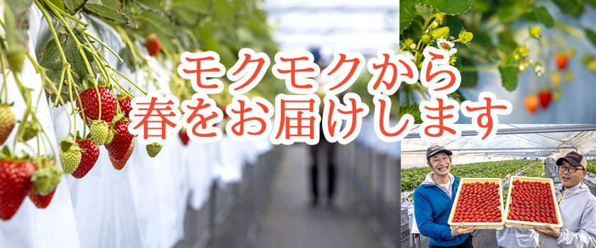 モクモクのものづくり